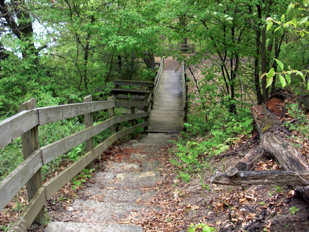 Buffalo Rock State Park