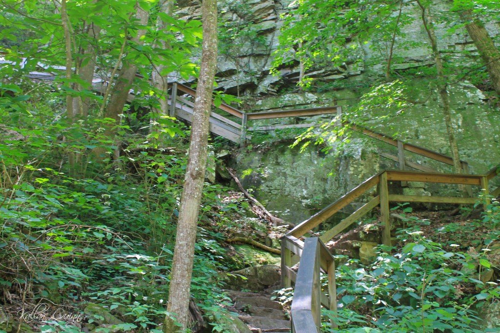 Cloudland Canyon State Park 610