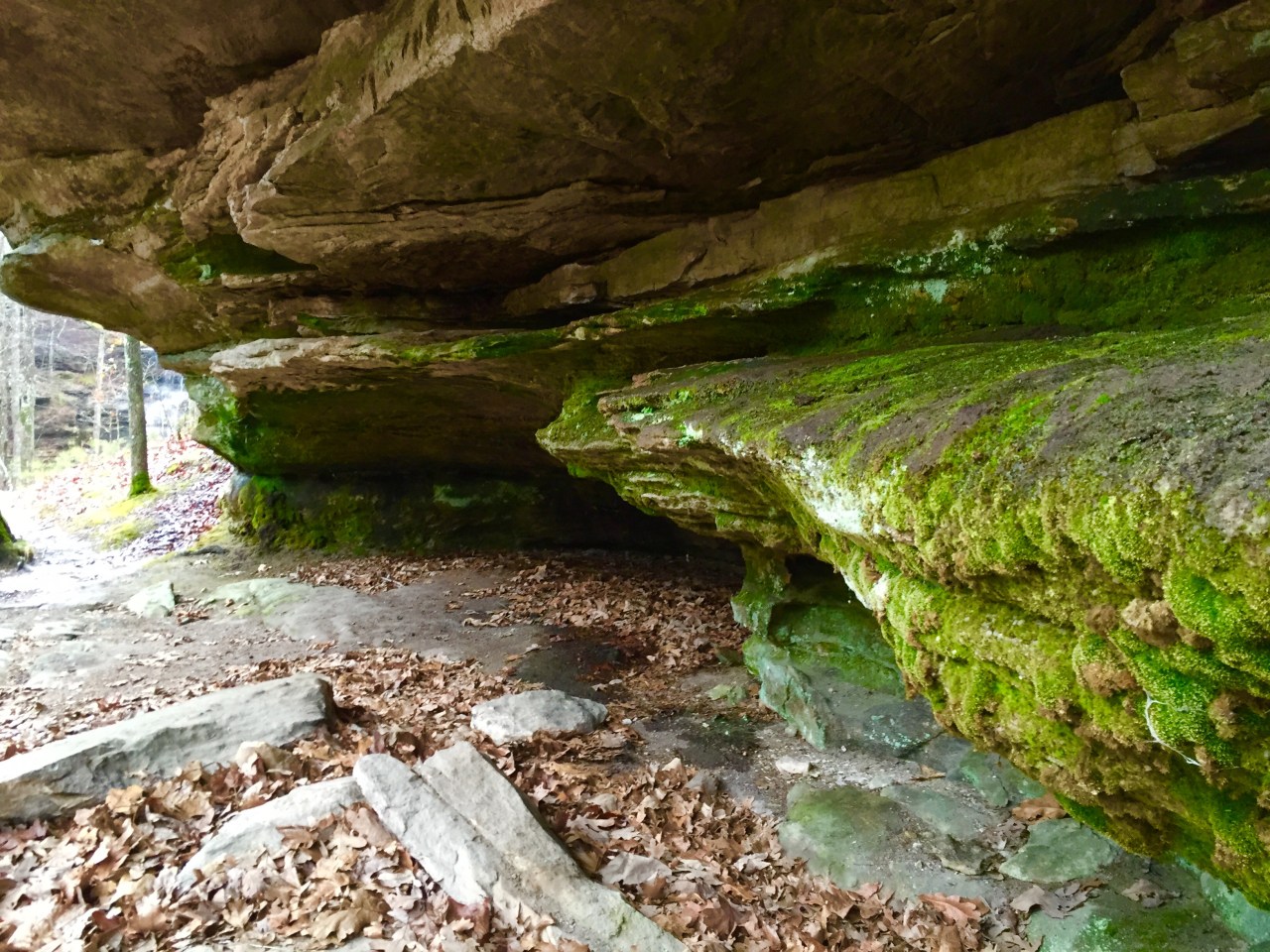 Hickory Canyon (24)