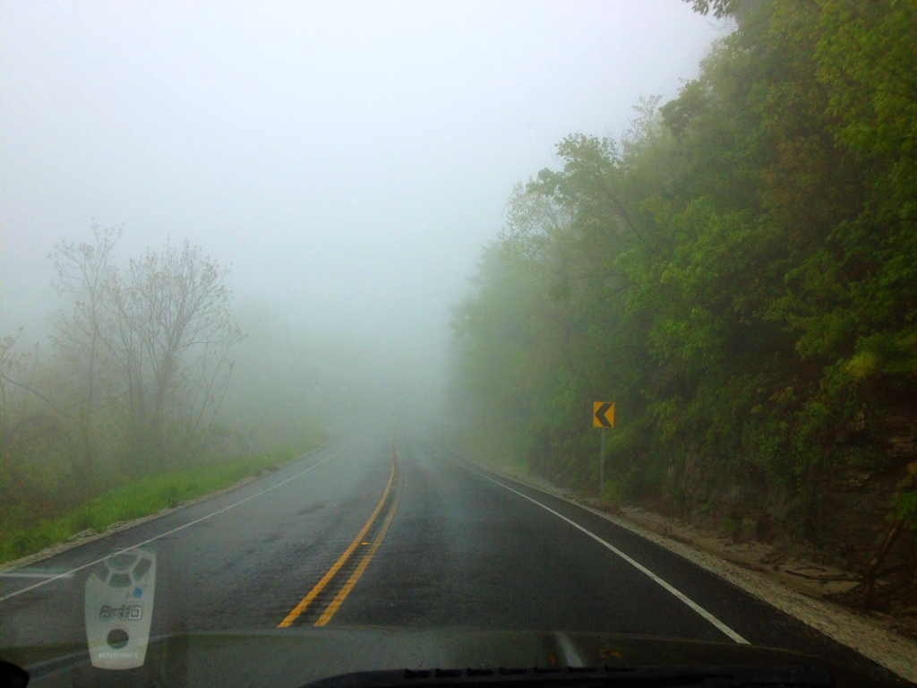 Foggy Arkansas