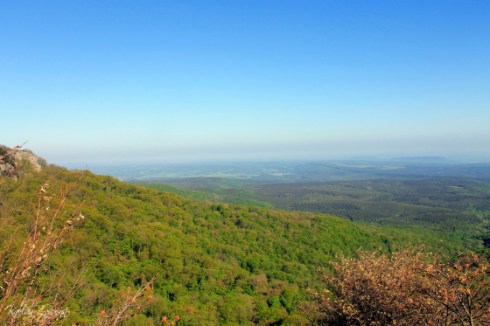 Mount Magazine Overlook