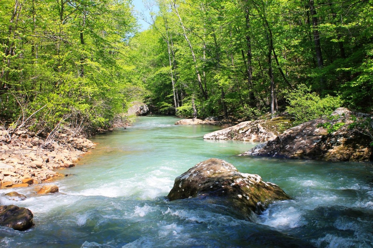 Photo Mar 02, 4 20 35 PM