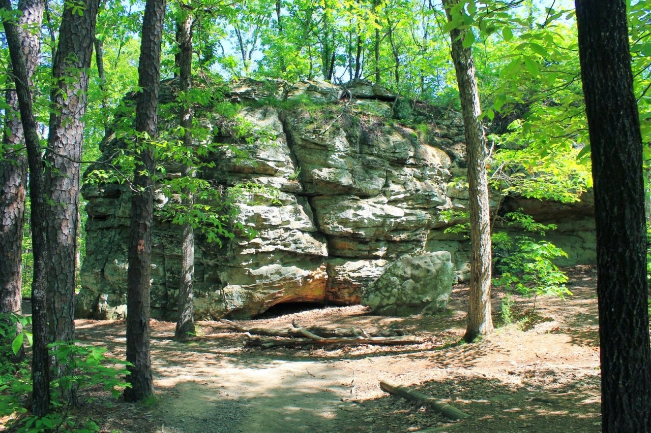 Photo Mar 02, 4 42 35 PM