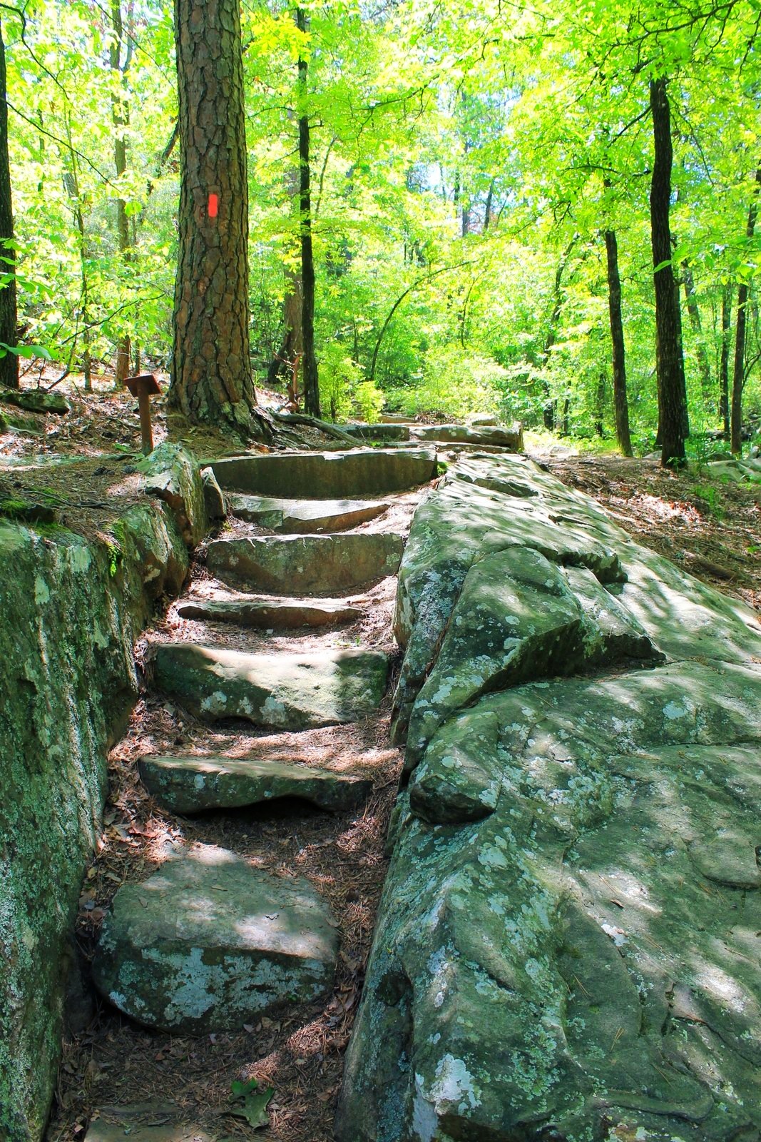 Photo Mar 02, 4 43 00 PM