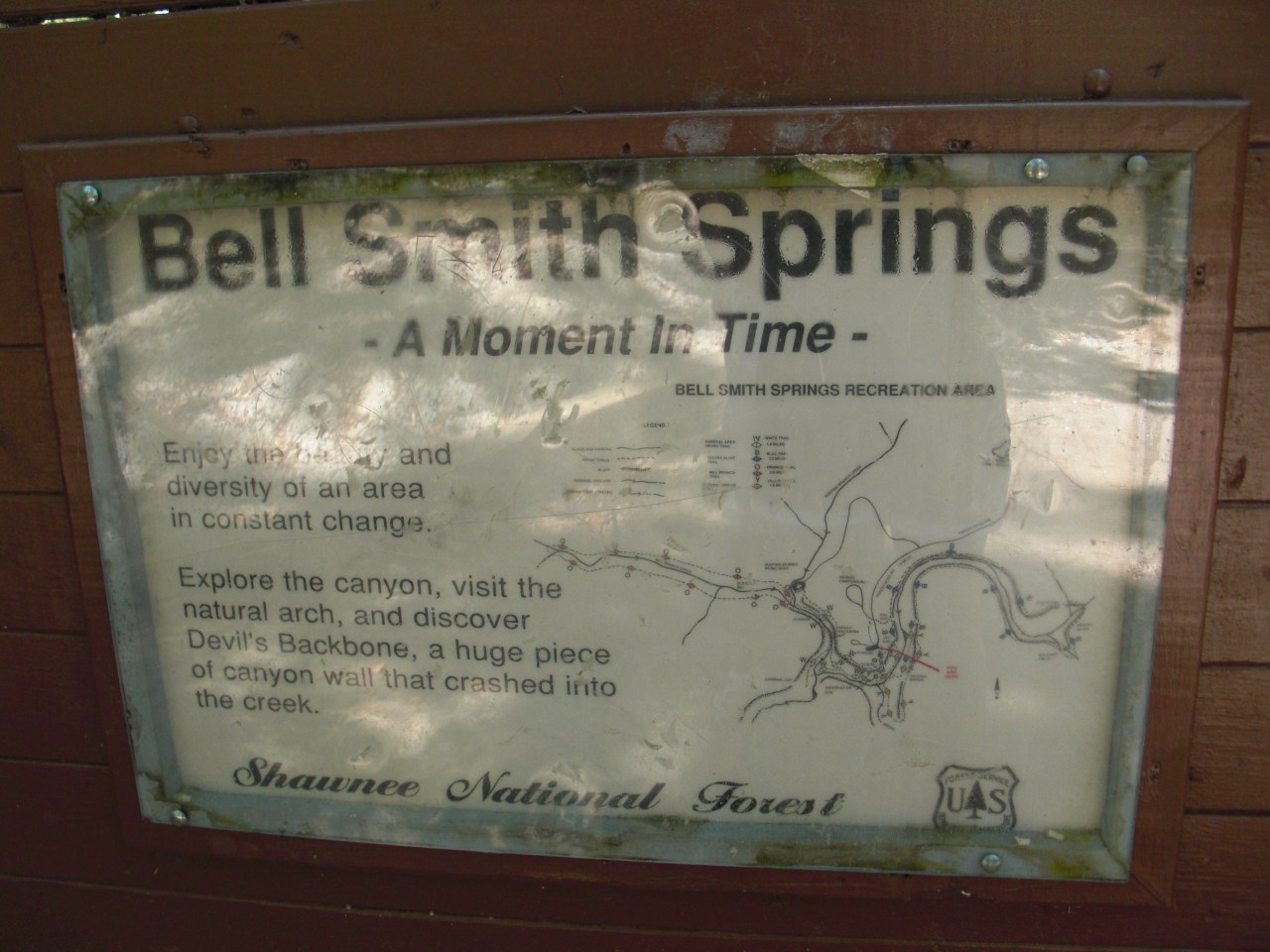 Bell Smith Springs (3)