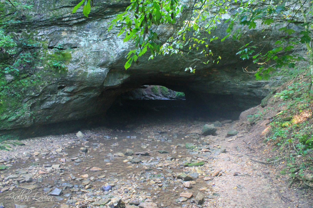 Rock Bridge Memorial State Park