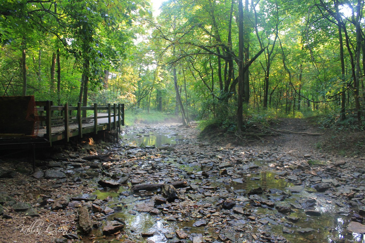 Rock Bridge Memorial