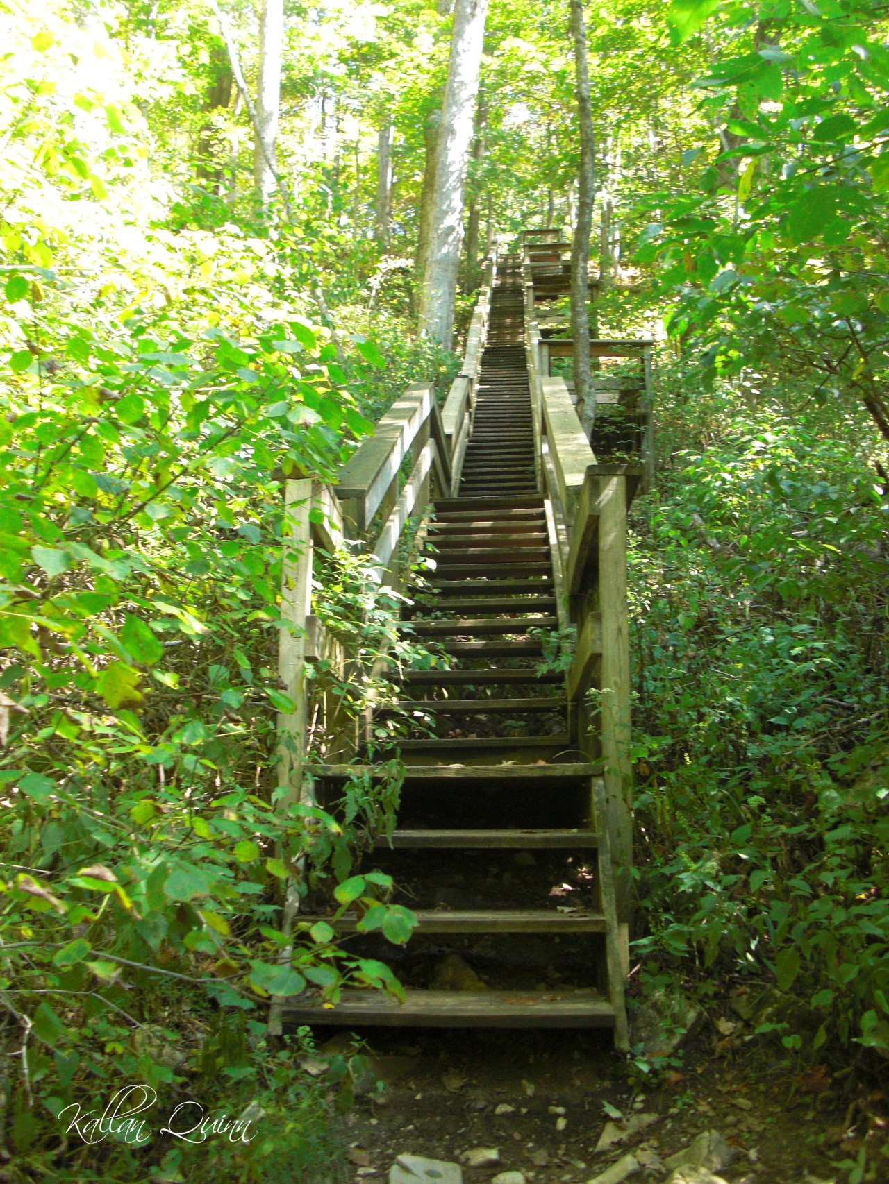 McCormicks Creek Stairs
