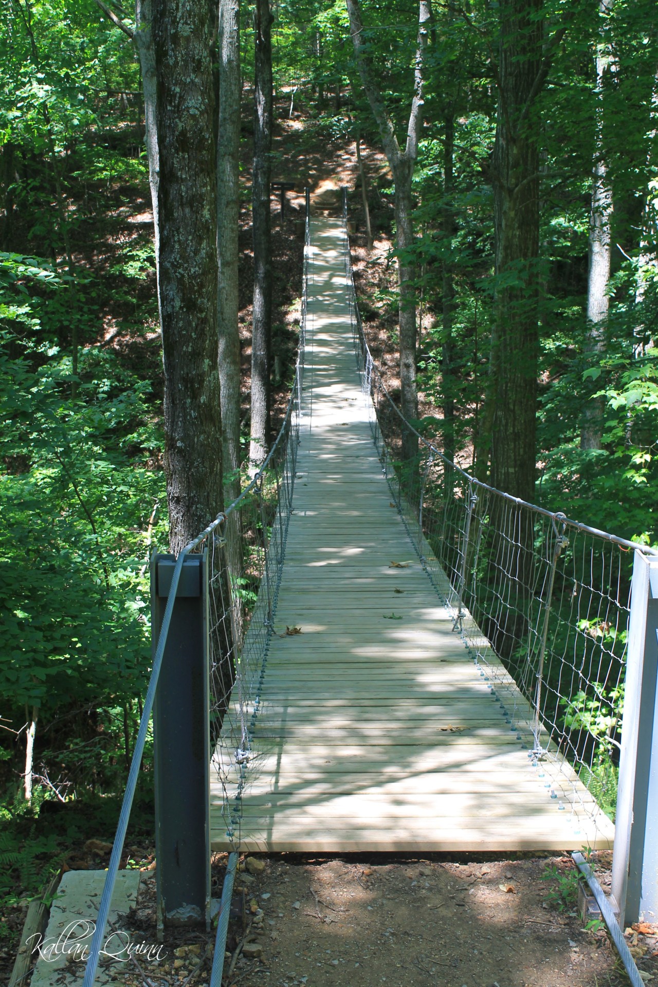Tims Ford Suspension Bridge