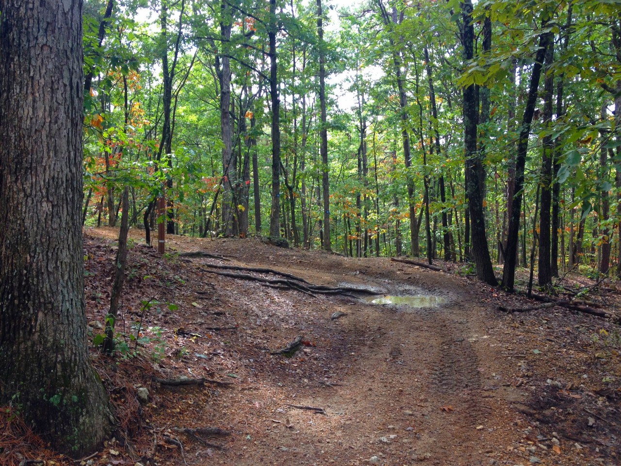 St. Joe State Park (12)