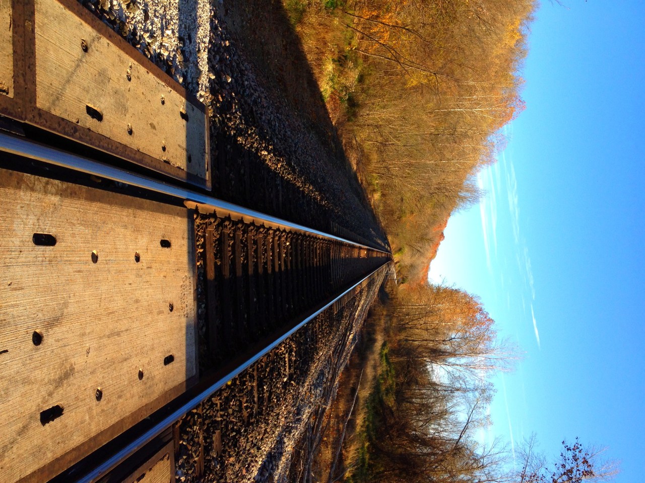 Photo Nov 08, 3 43 00 PM