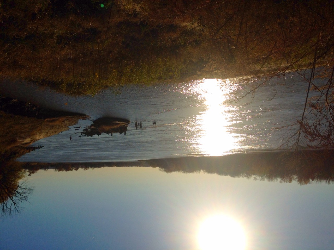 Photo Nov 08, 3 46 39 PM