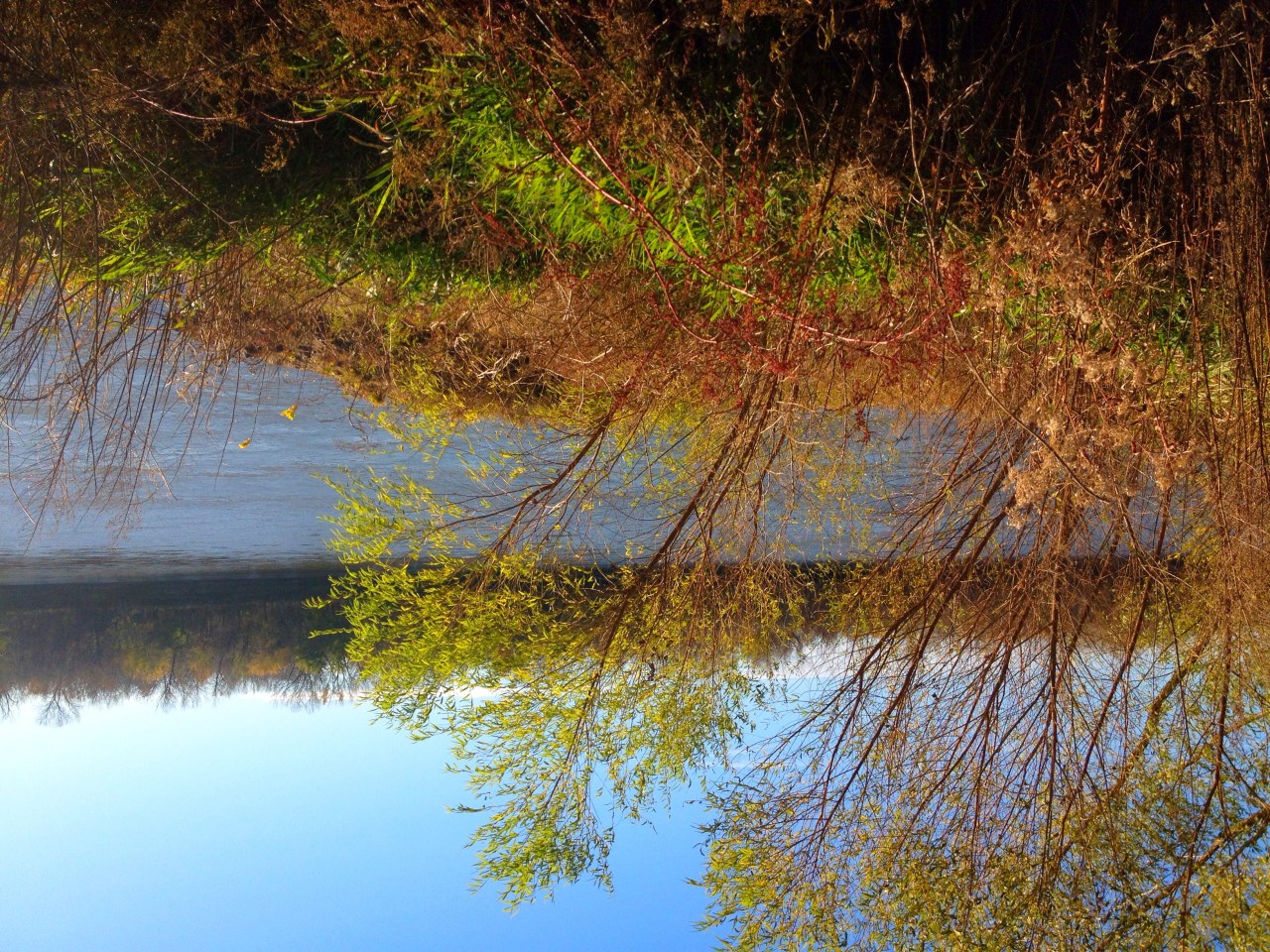 Photo Nov 08, 3 46 45 PM