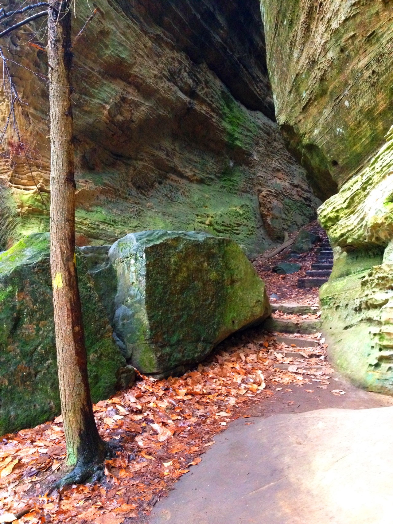 Cantwell Cliffs, Hocking Hills –&nbsp;Ohio