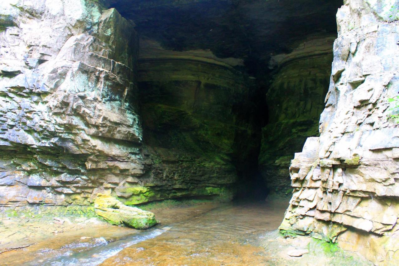 Donaldson Cave