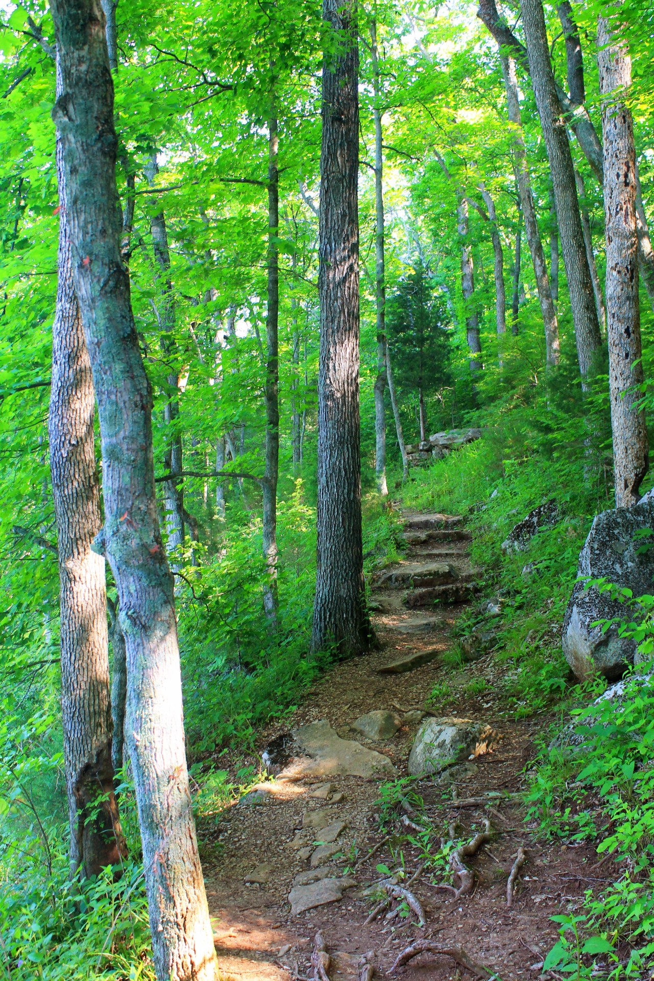 Spring Mill State Park (12)