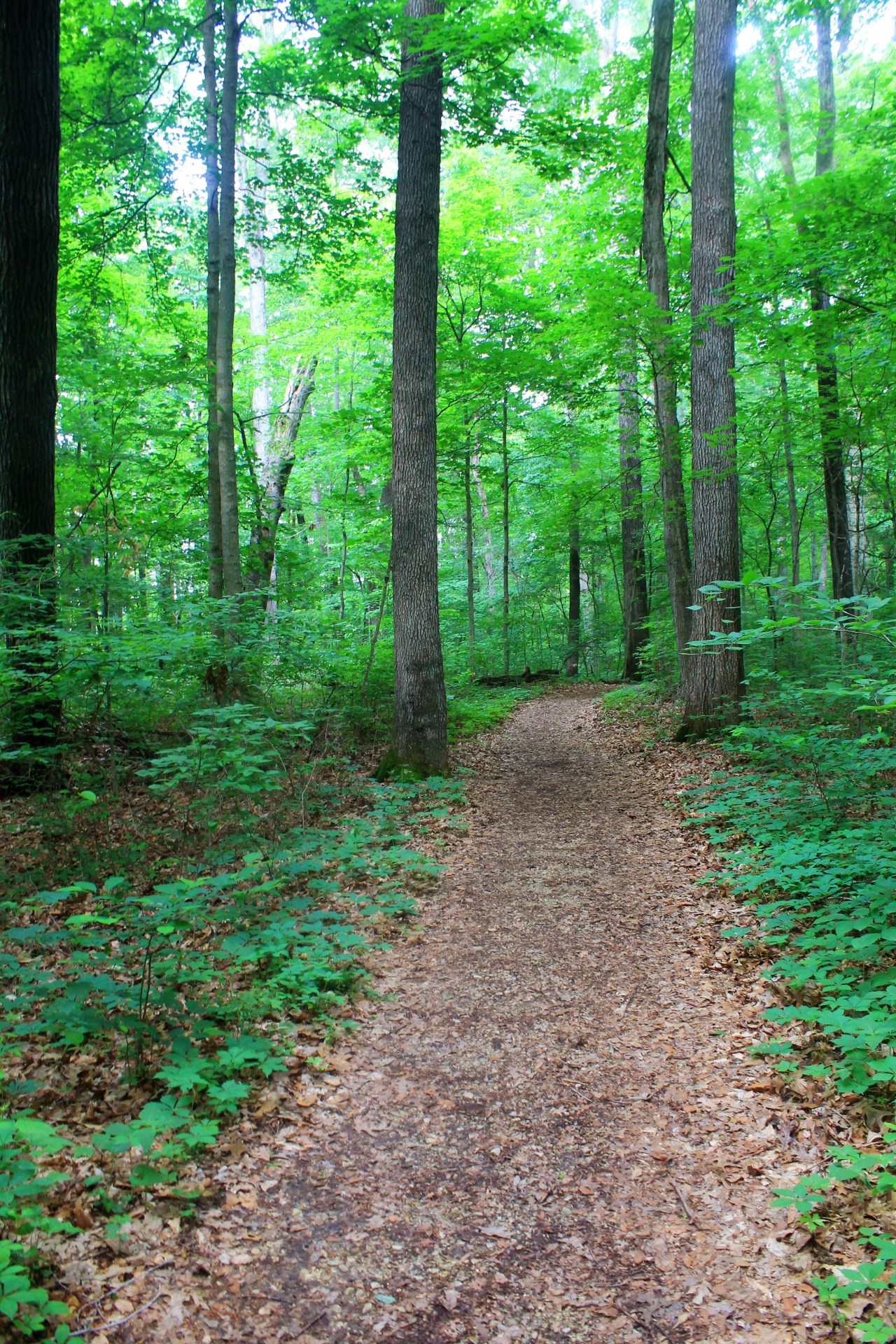 Spring Mill State Park (2)