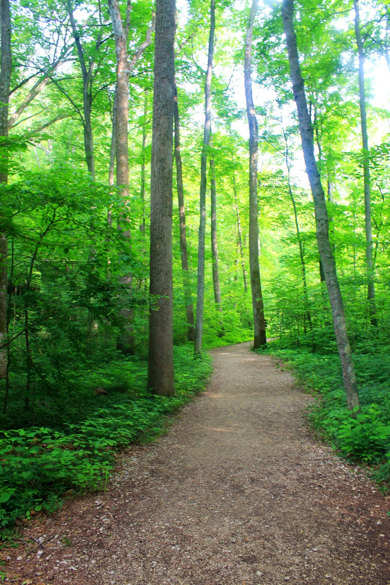 Spring Mill State Park (4)