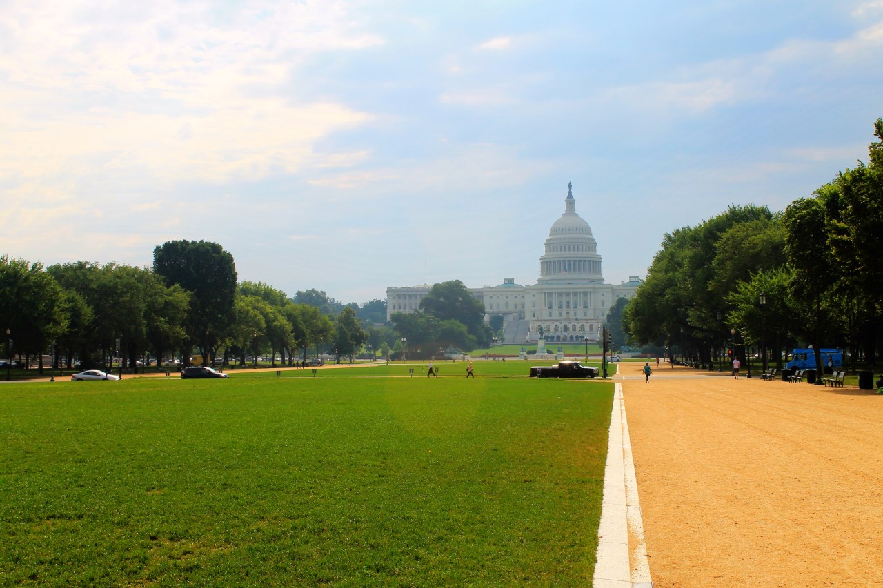 Washington DC (3)