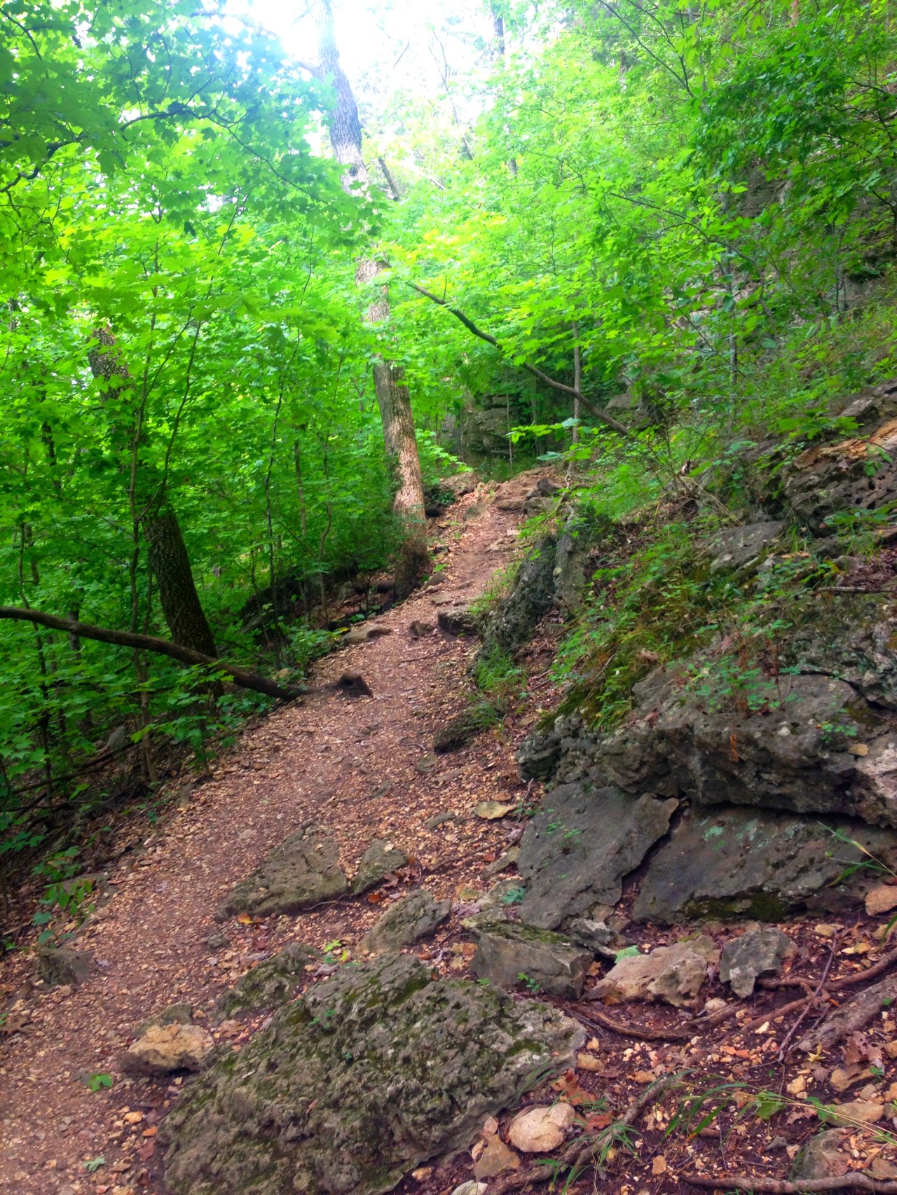 Mastodon State Historic Site (14)