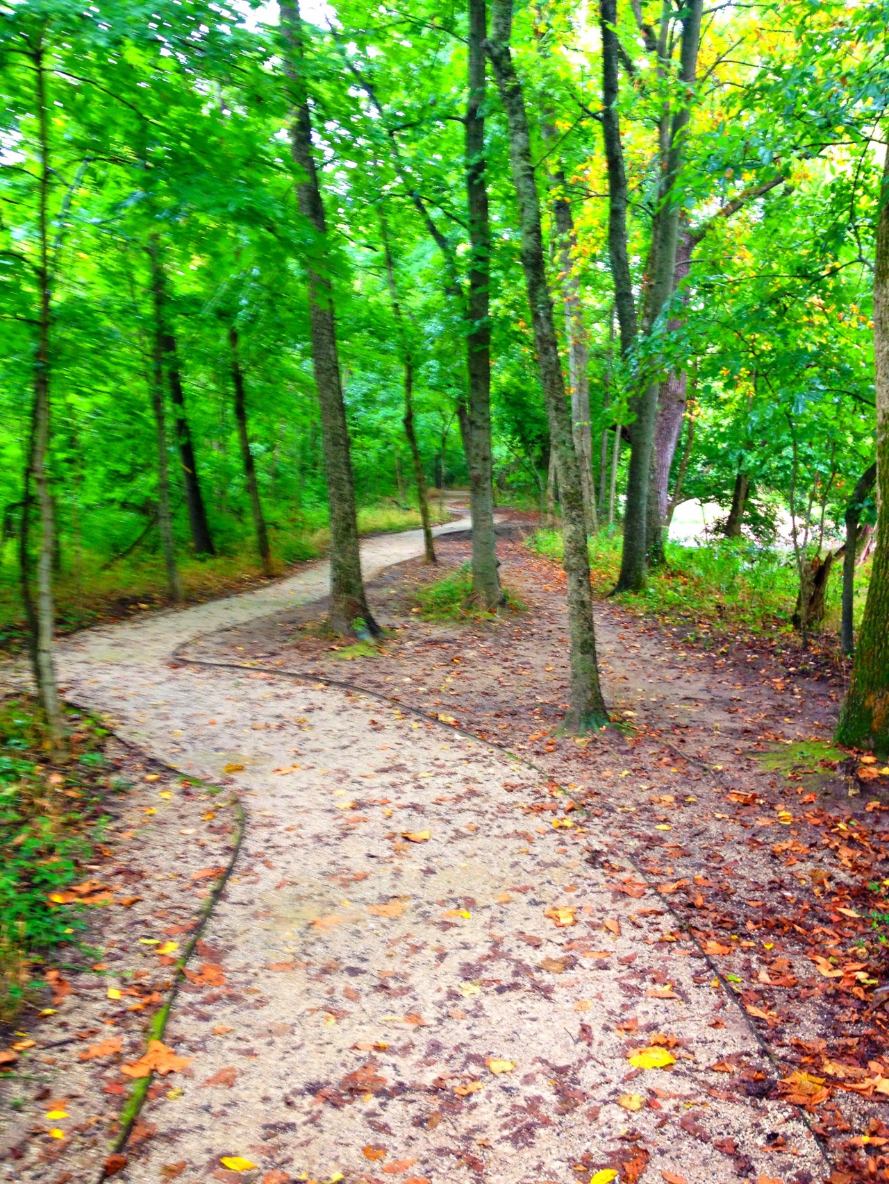 Mastodon State Historic Site (21)