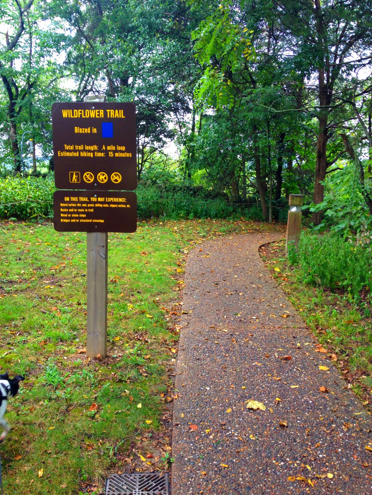 Mastodon State Historic Site (22)