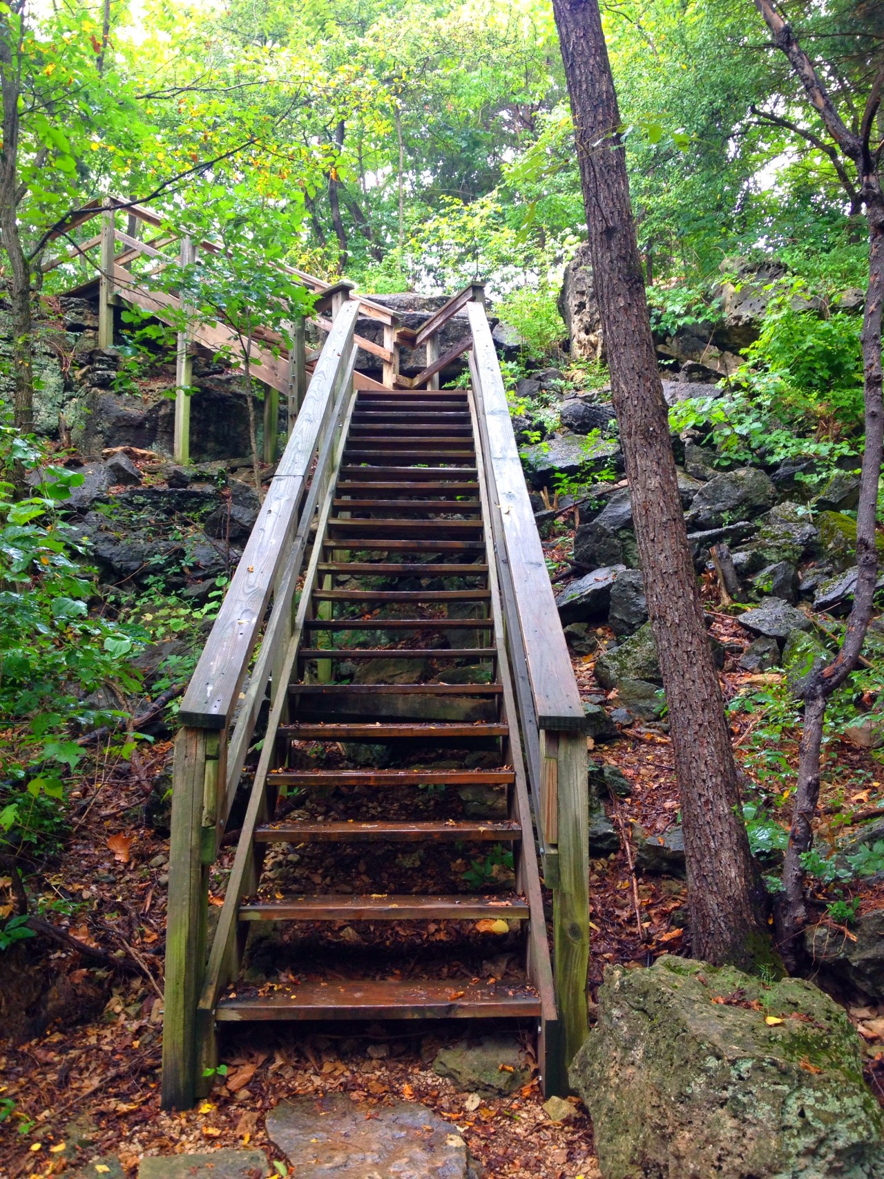 Mastodon State Historic Site (23)