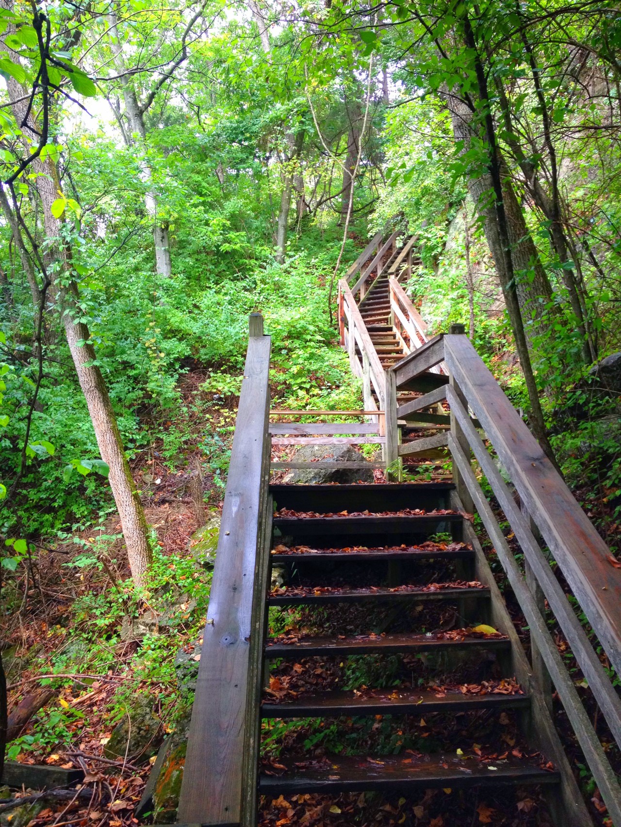 Mastodon State Historic Site (24)