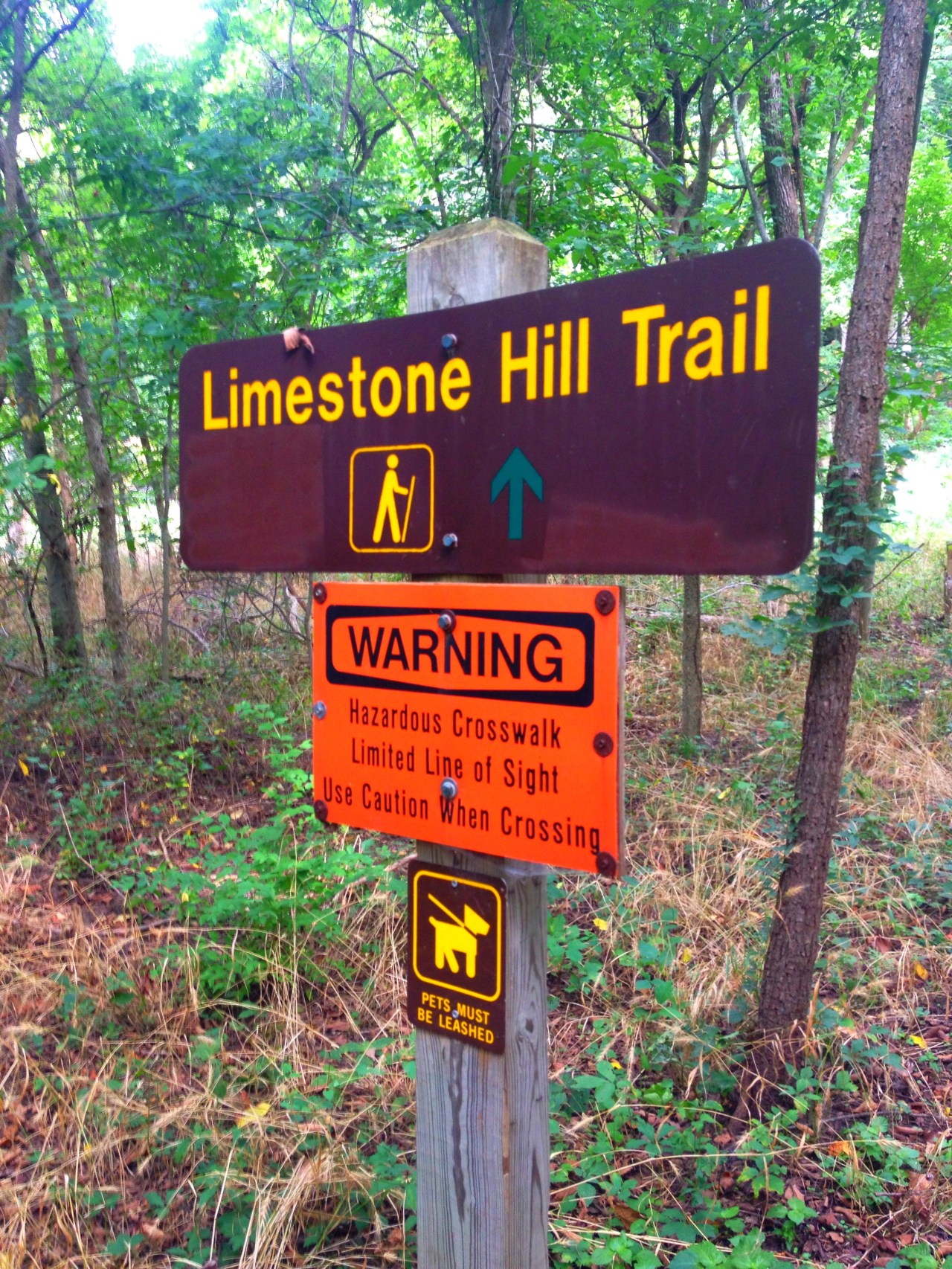 Mastodon State Historic Site (4)