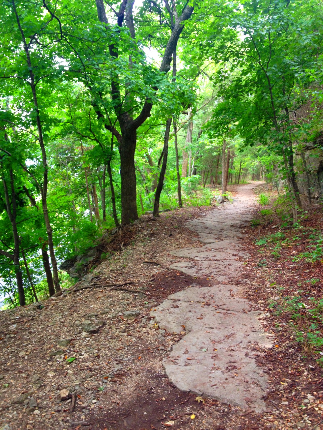 Mastodon State Historic Site (5)