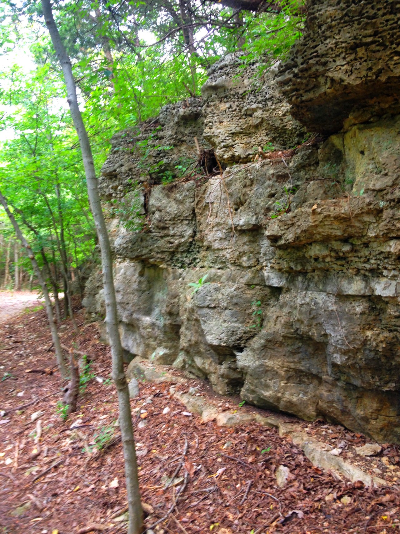 Mastodon State Historic Site (7)