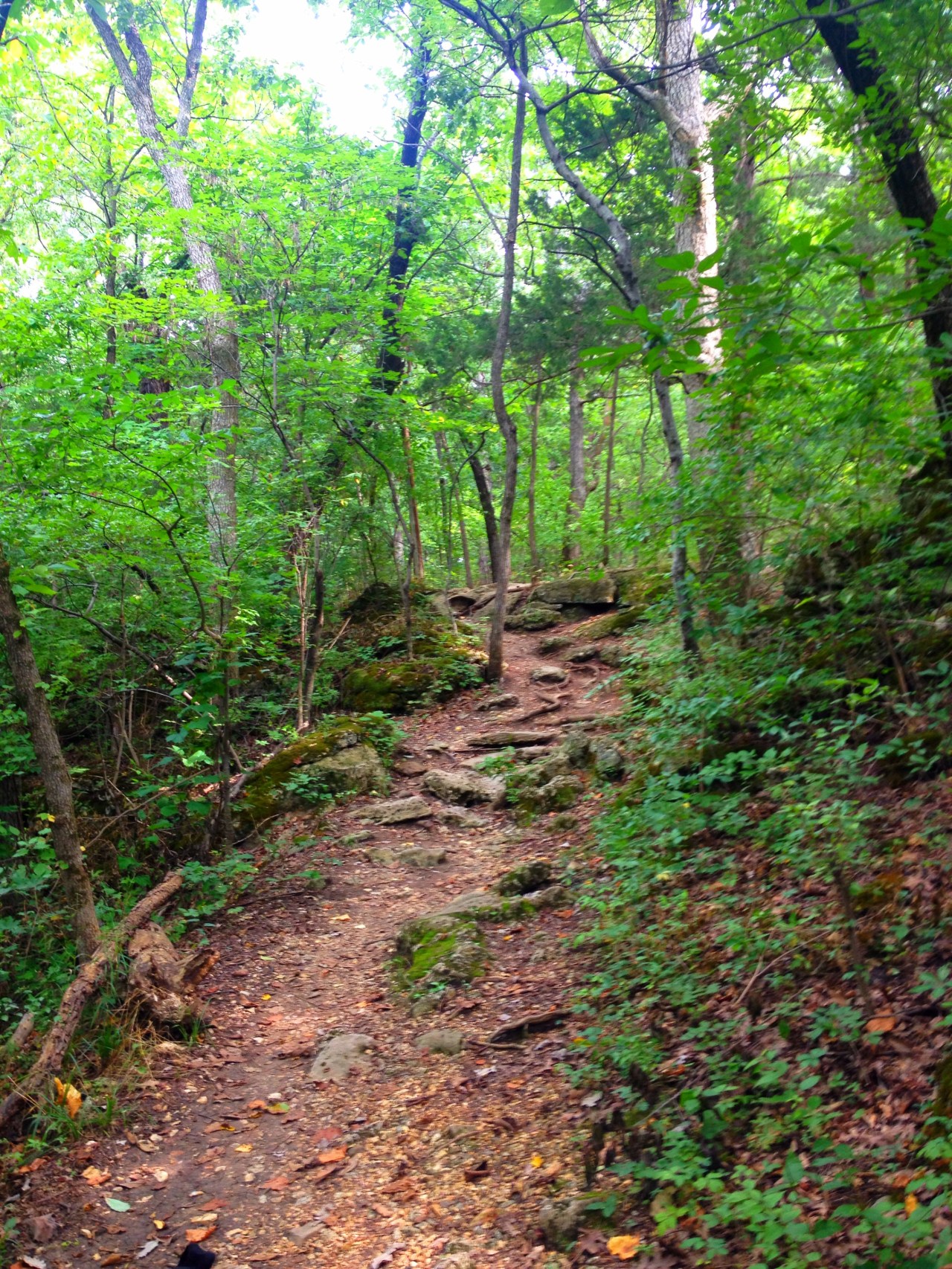 Mastodon State Historic Site (9)