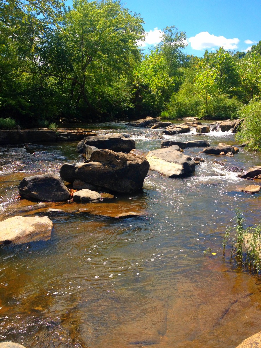 Millstream Gardens Conservation Area Missouri Planned Spontaneity