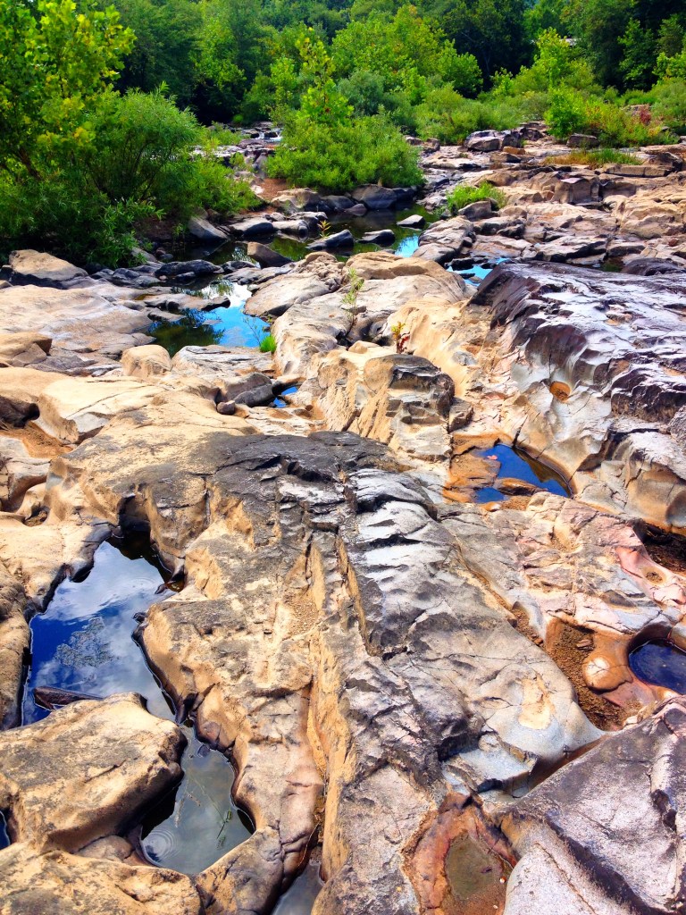 Millstream Gardens Conservation Area Missouri Planned Spontaneity