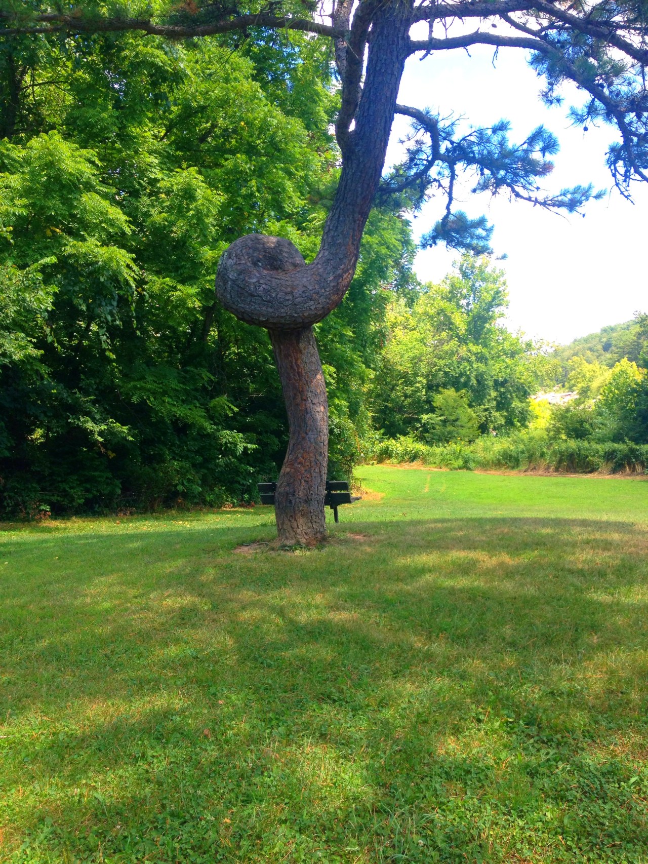 Millstream Gardens (2)