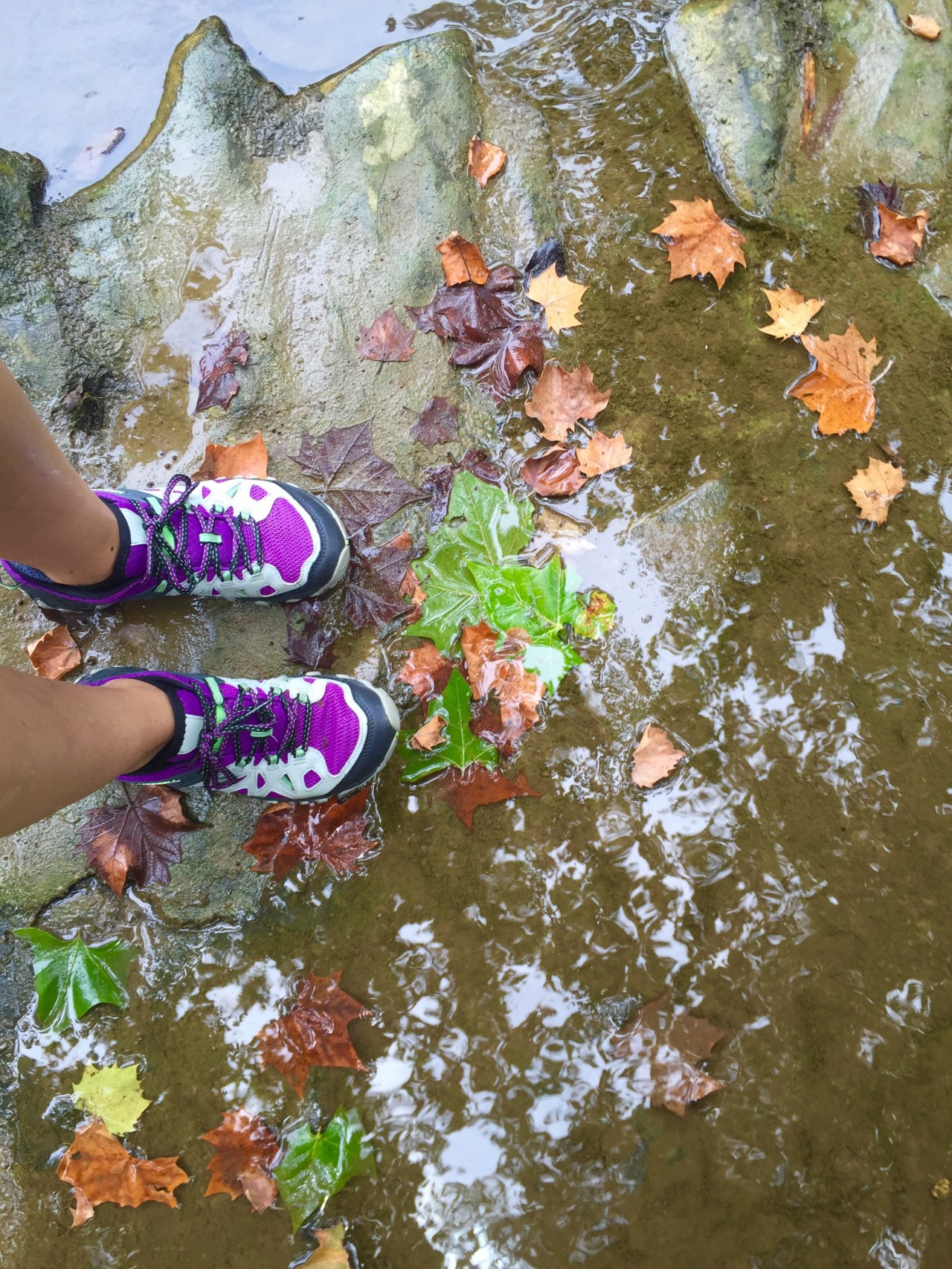 photo-aug-12-1-31-19-pm