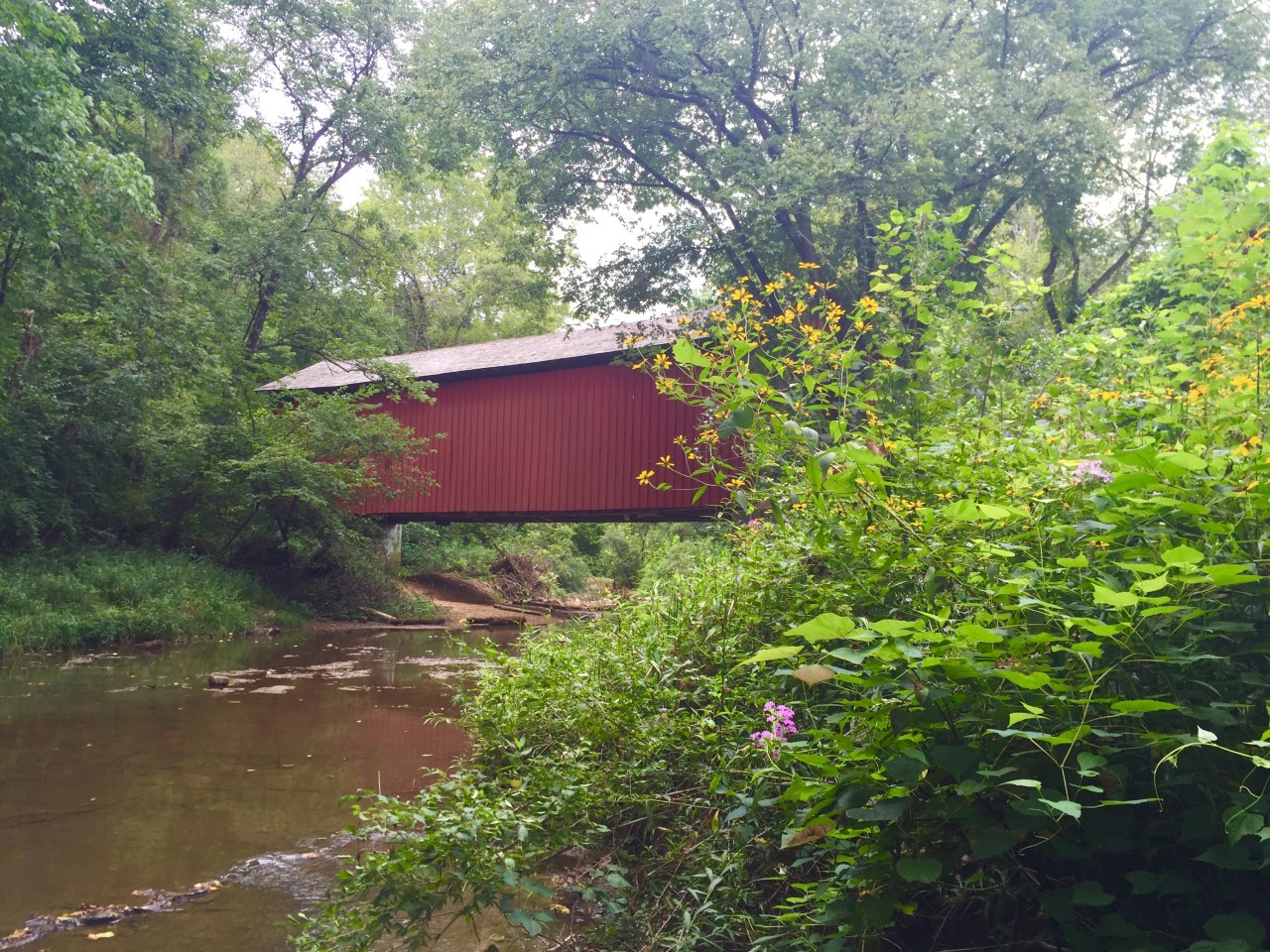 photo-aug-12-1-32-33-pm