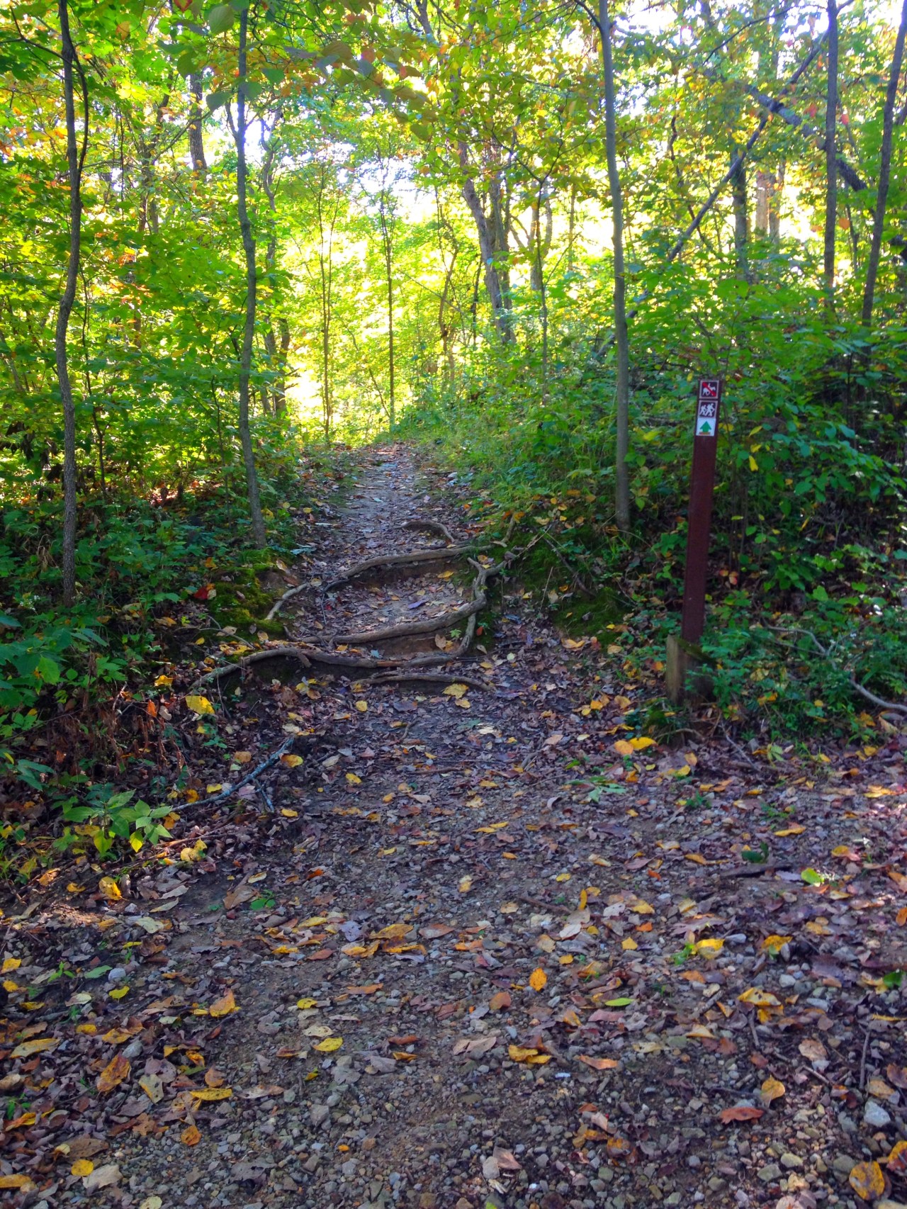 Babler State Park (4)