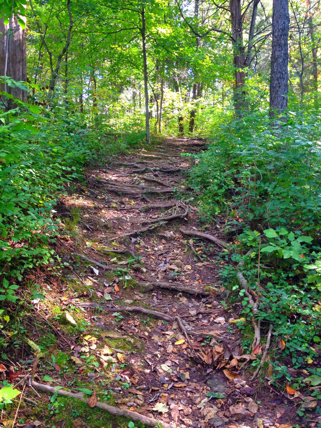 Babler State Park (8)