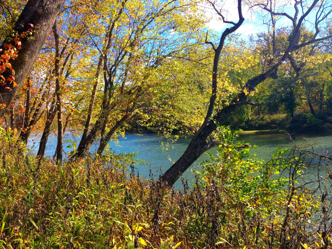 Meramec State Park –&nbsp;Missouri