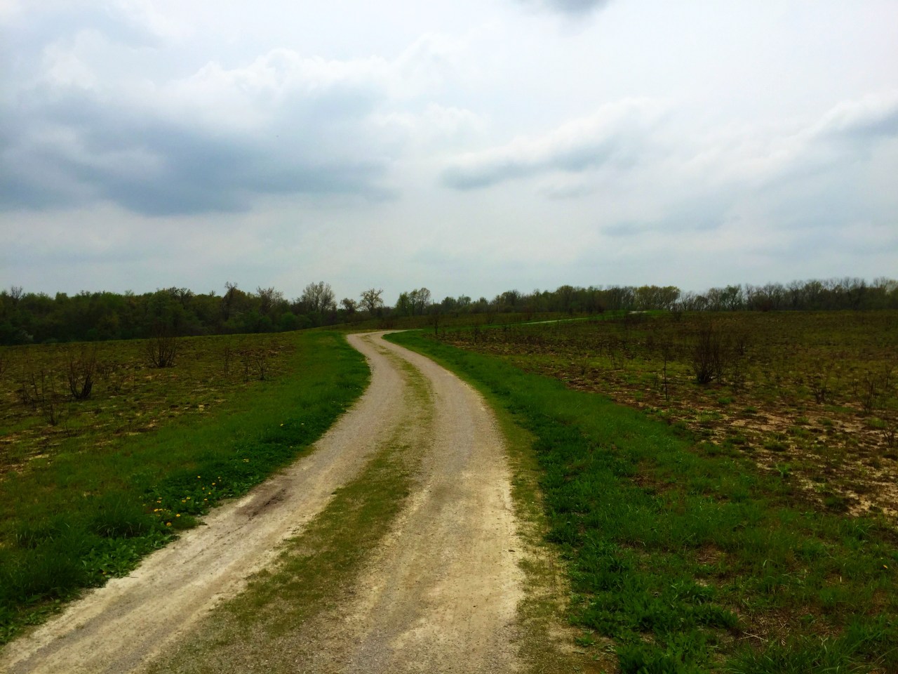 Photo Apr 18, 2 10 16 PM