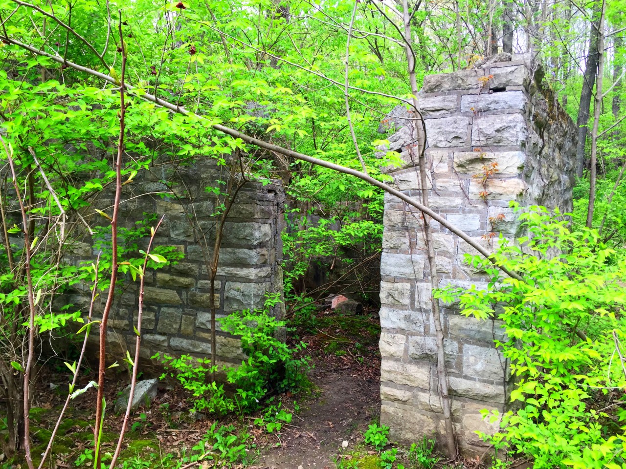 Photo Apr 18, 2 30 08 PM