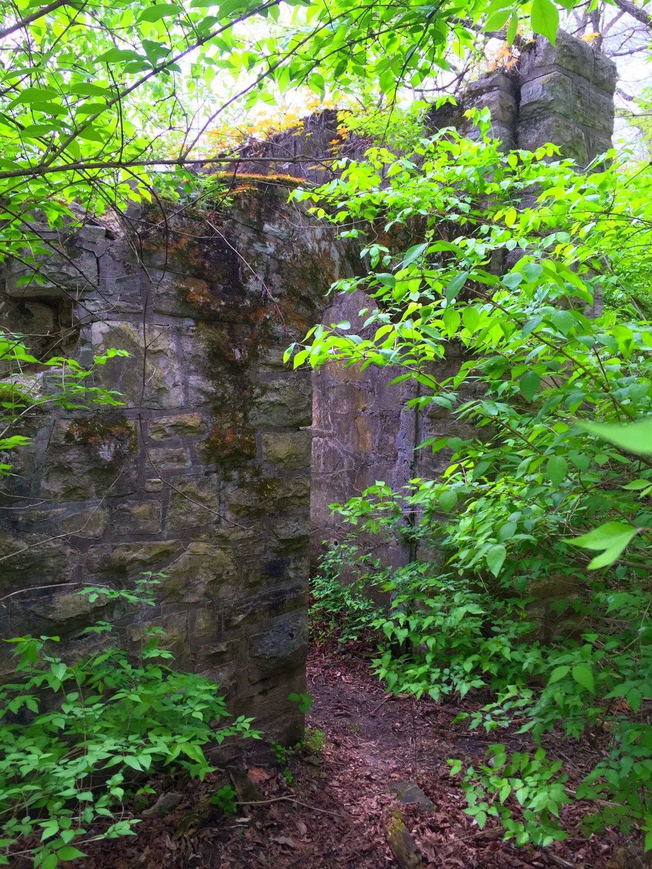 Photo Apr 18, 2 31 28 PM