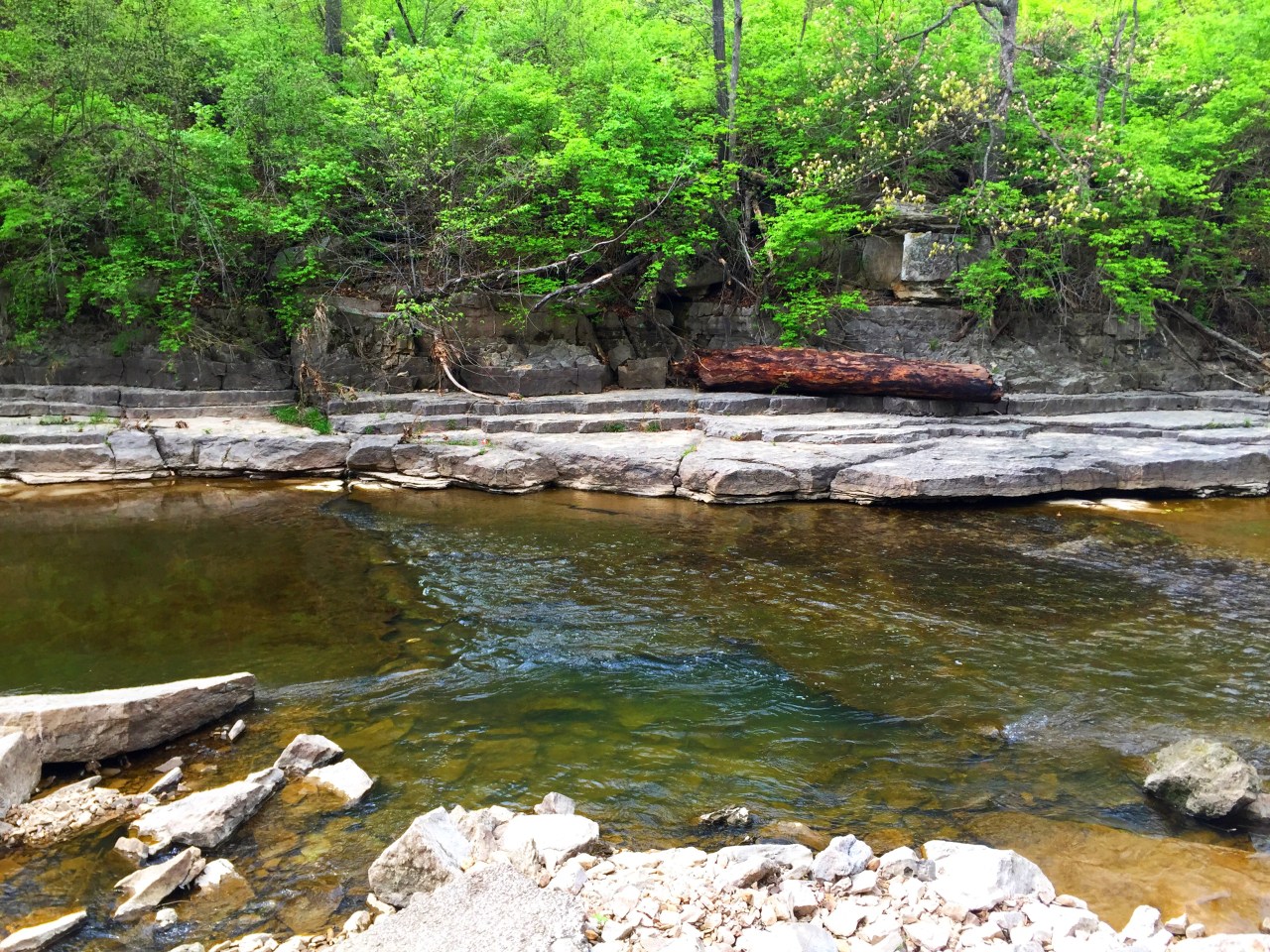 Photo Apr 18, 2 37 04 PM