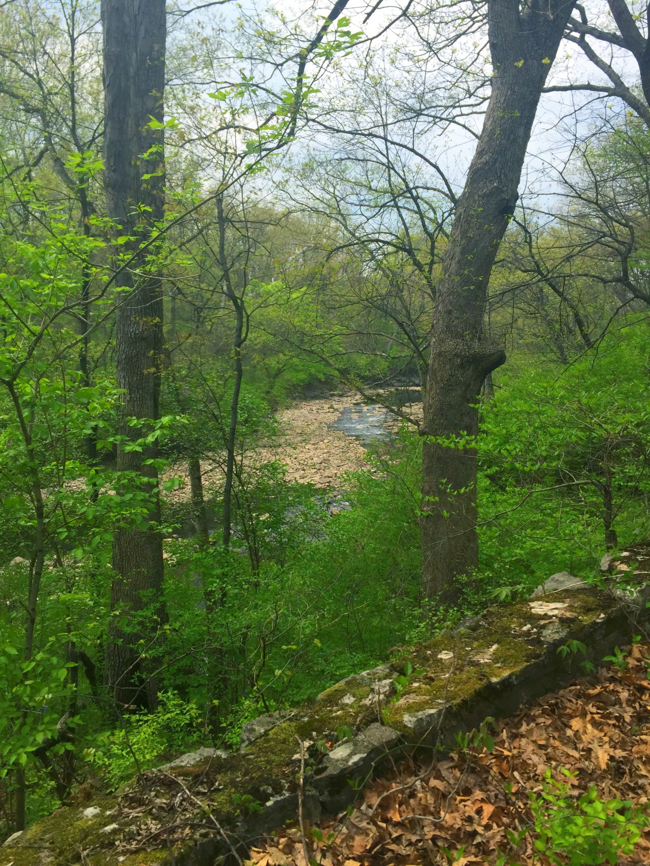 Photo Apr 18, 2 41 32 PM