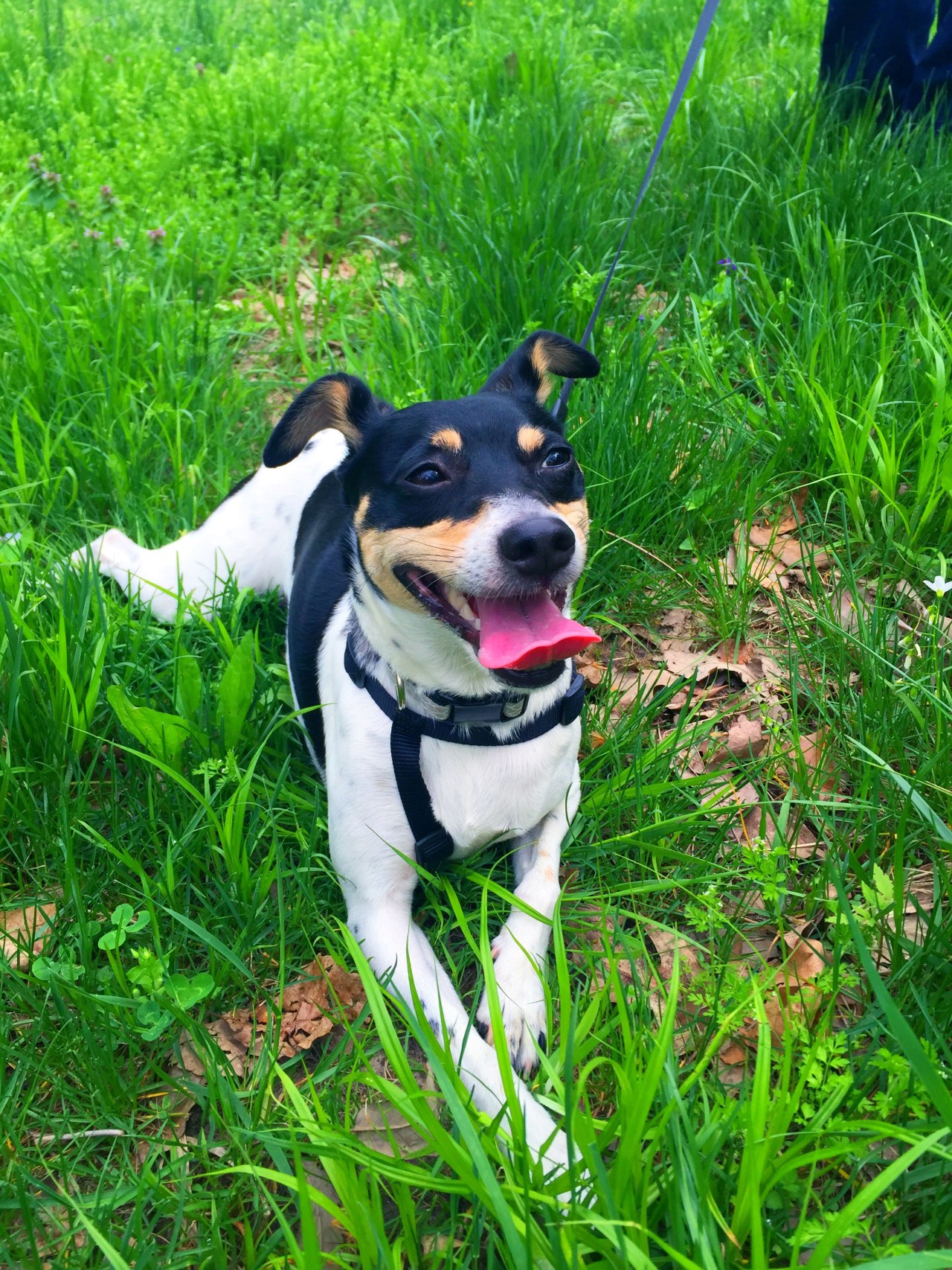 Photo Apr 18, 3 10 03 PM