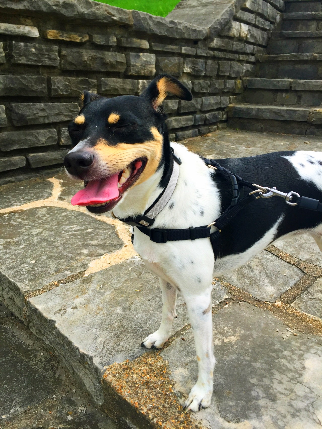 Photo Apr 18, 3 17 21 PM