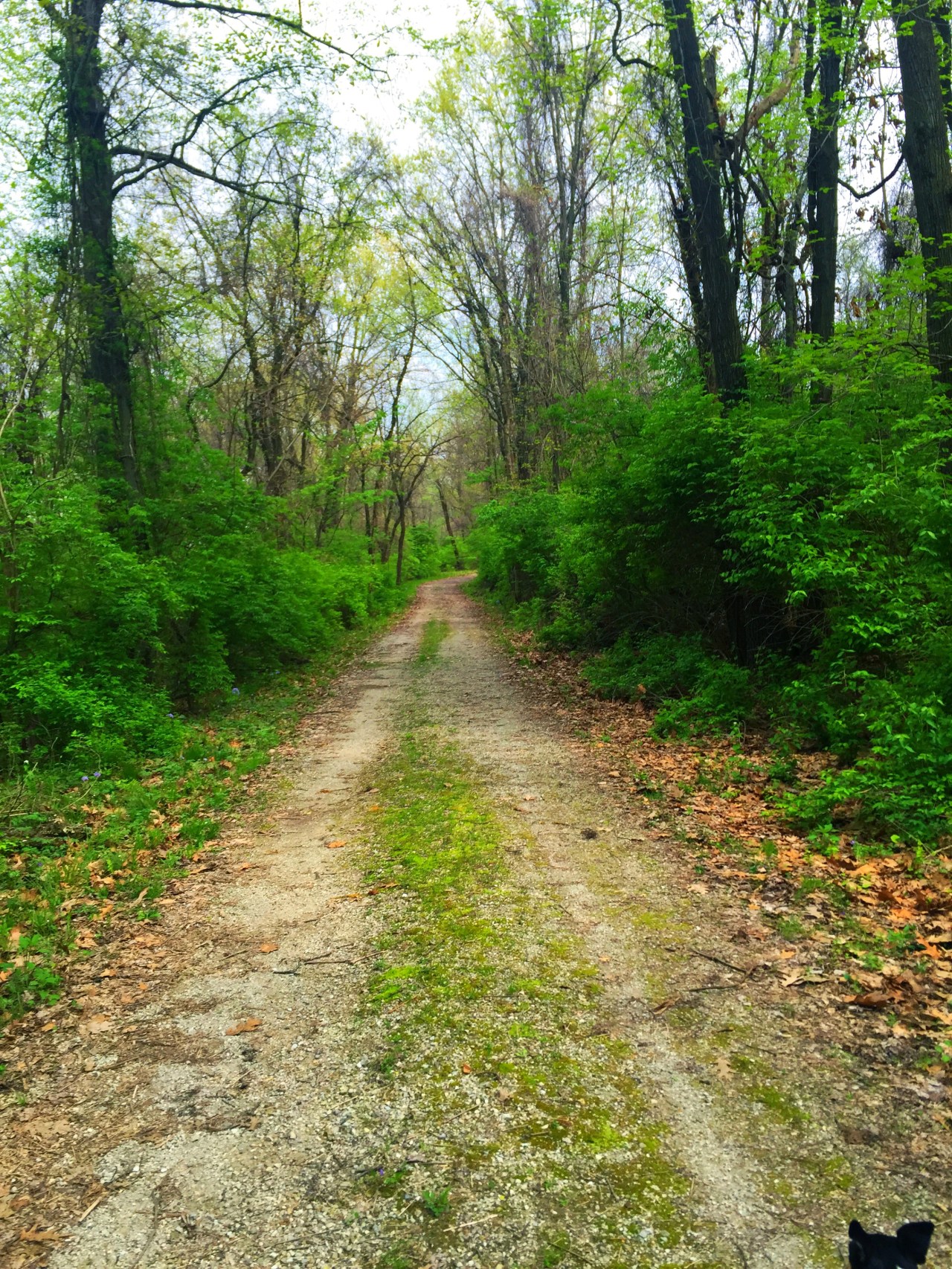 Photo Apr 18, 3 27 03 PM