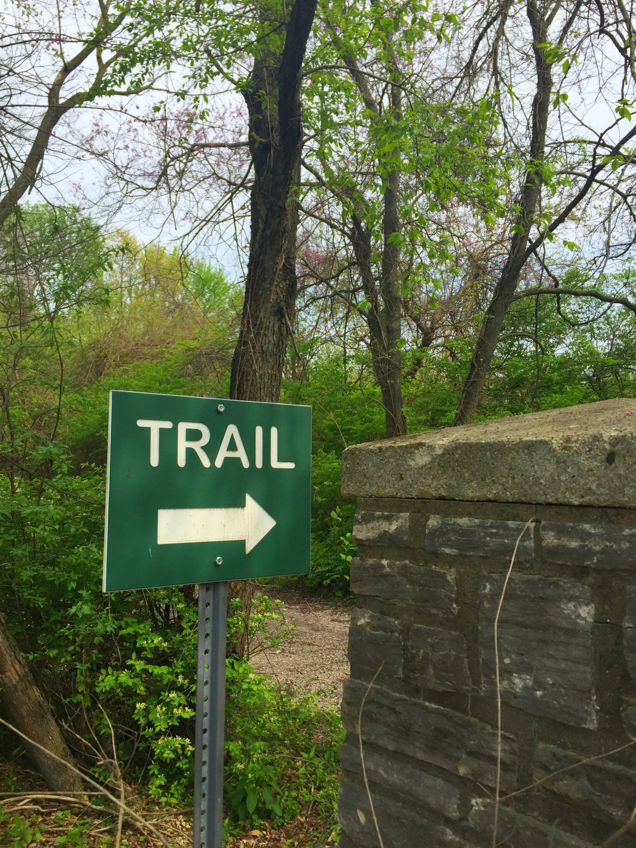 Photo Apr 18, 3 33 52 PM