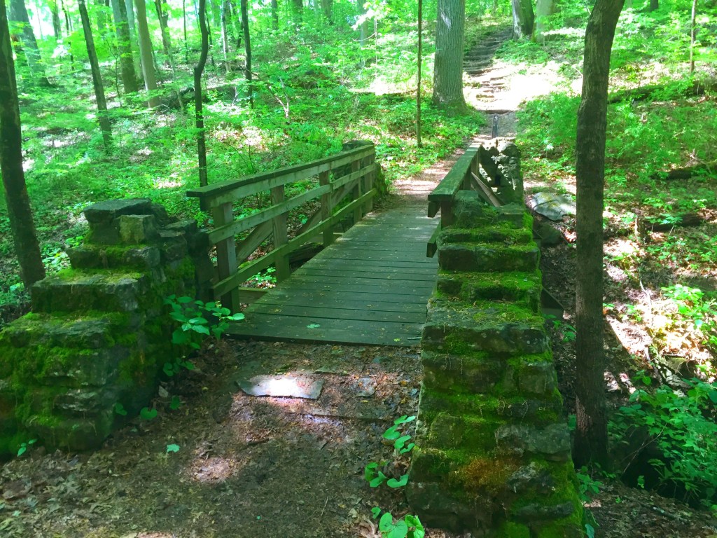 Clifty Falls (1)